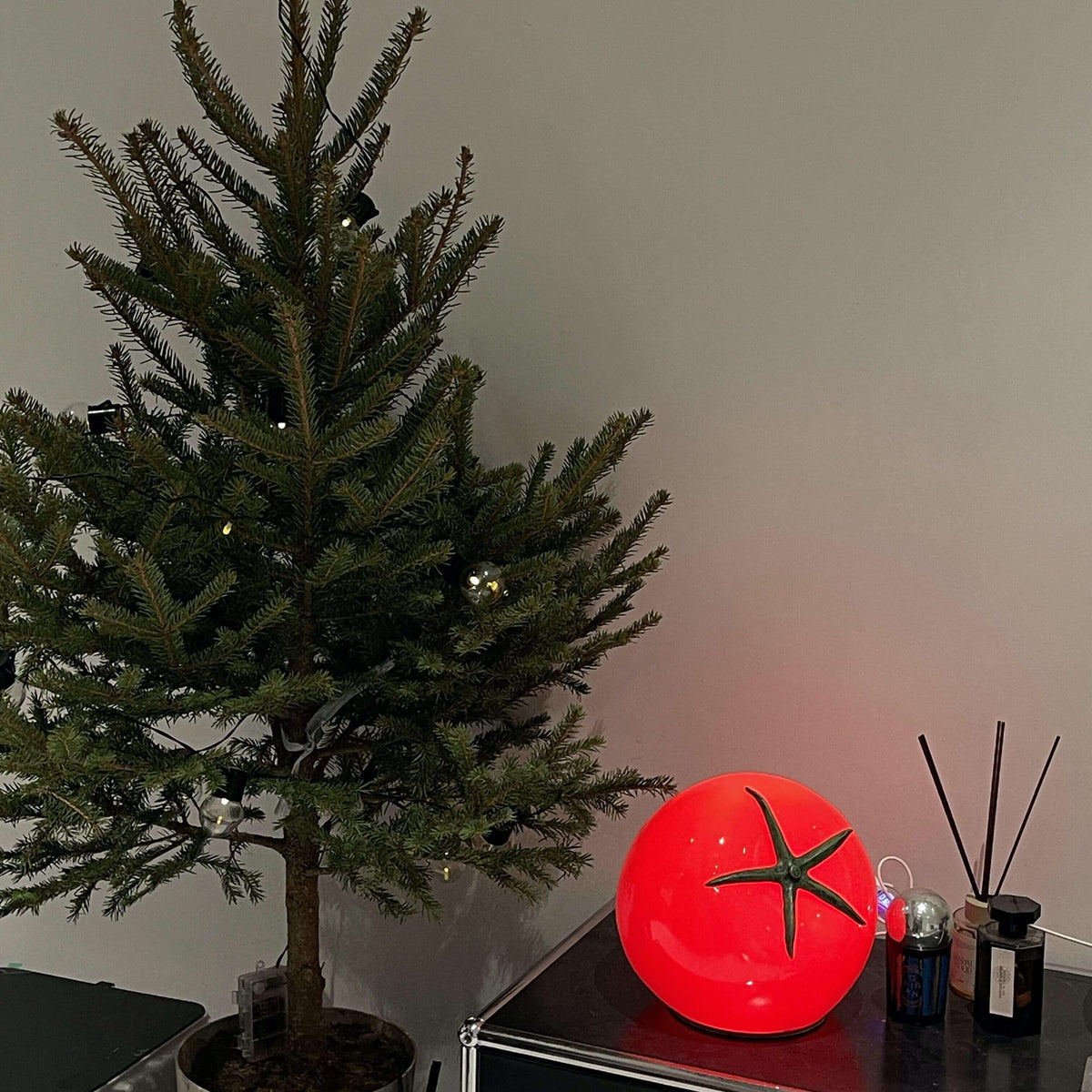 Tomato Modern Table Lamp Metal Shade Warm LED Accent Light