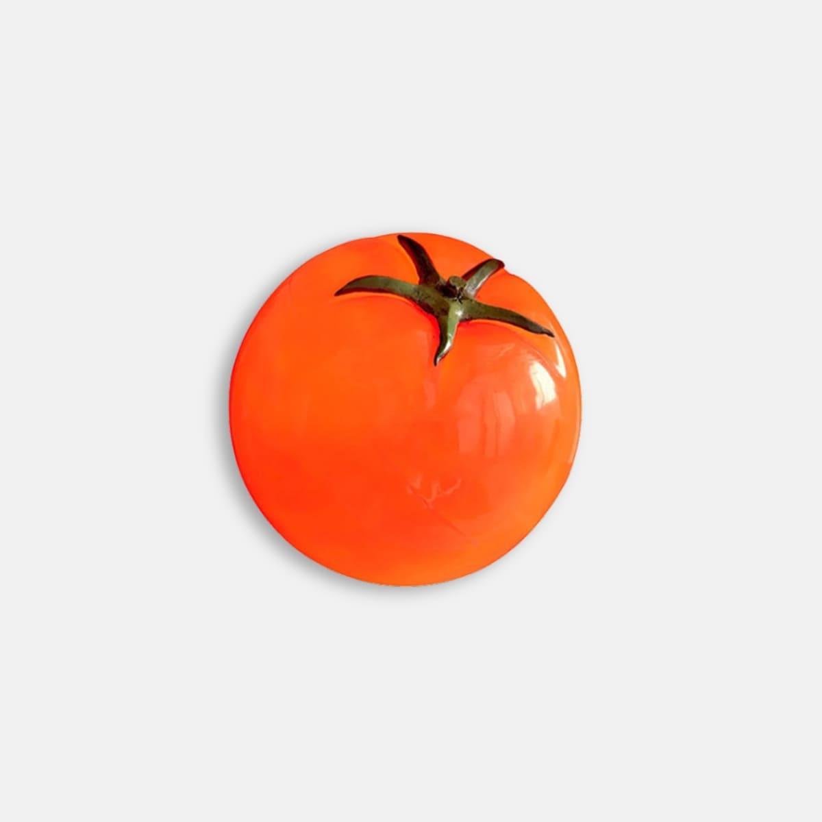 Tomato Modern Table Lamp Metal Shade Warm LED Accent Light
